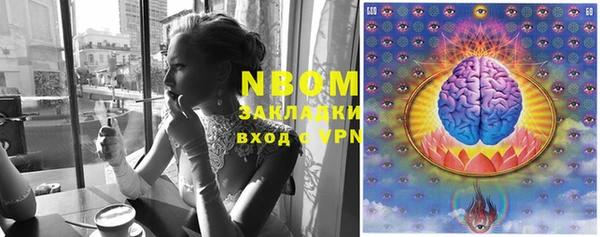 прущие грибы Балахна