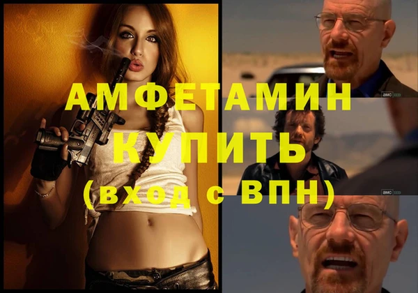 прущие грибы Балахна