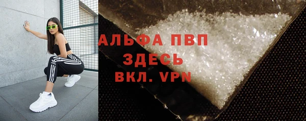 прущие грибы Балахна