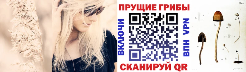 Псилоцибиновые грибы Psilocybine cubensis  продажа наркотиков  Таштагол 